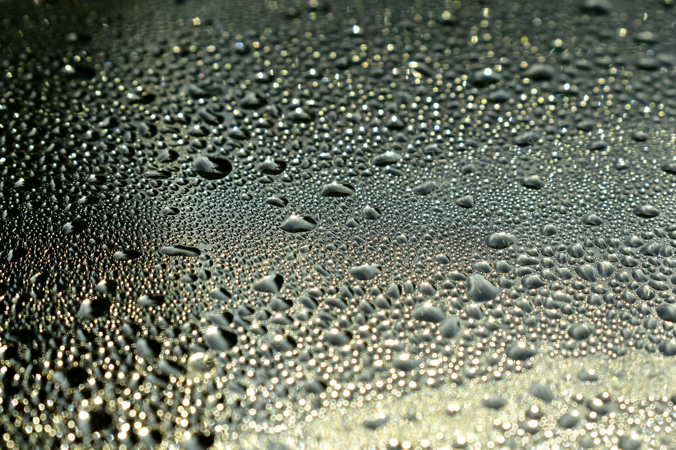 a close up of water droplets on a surface, by Jan Rustem, frosted glass, metallic surface, wallpaper - 1 0 2 4