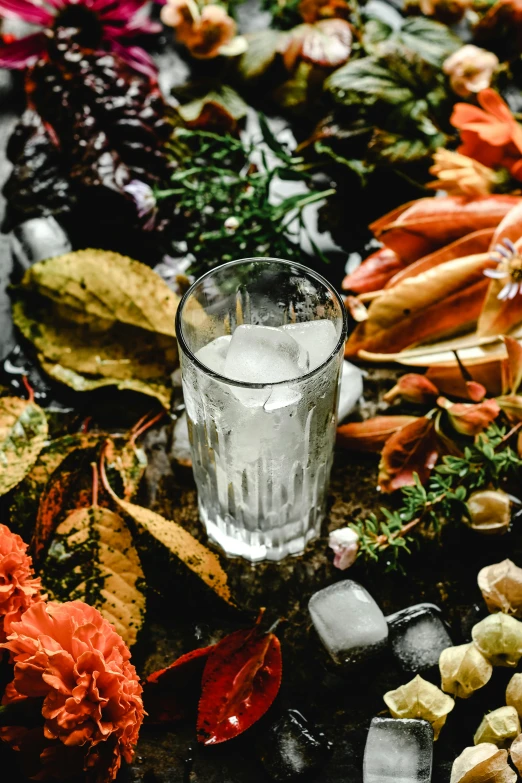 a glass of water sitting on top of a table, a still life, inspired by Cornelis de Heem, unsplash, seafood in preserved in ice, herbs, during autumn, full frame image