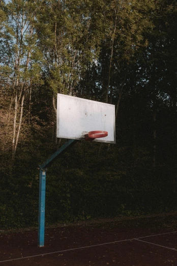 a basketball hoop in the middle of a tennis court, an album cover, by Attila Meszlenyi, unsplash, in the middle of a forest, 1999, photo taken on fujifilm superia, 2000s photo