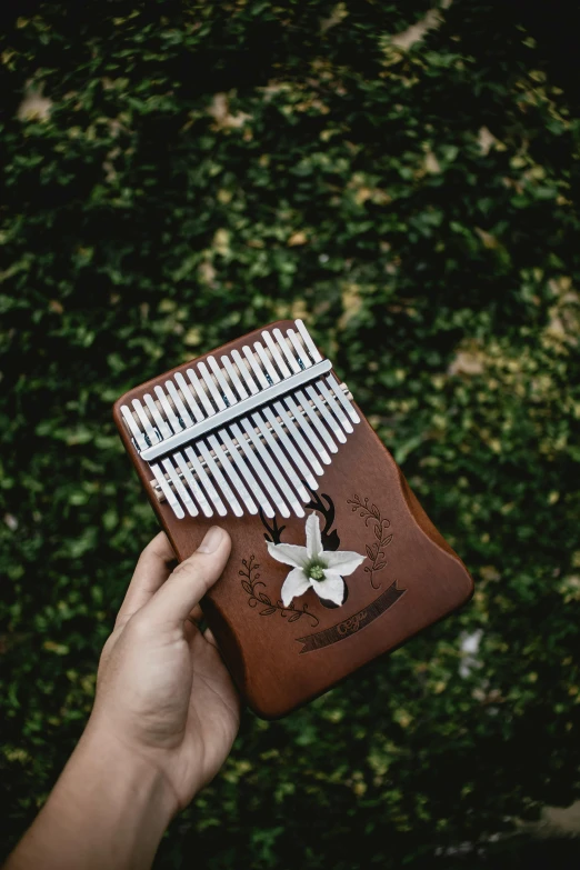 a person holding a musical instrument in their hand, an album cover, inspired by Bryan Organ, unsplash, botanicals, leather pouch, garis edelweiss, islamic