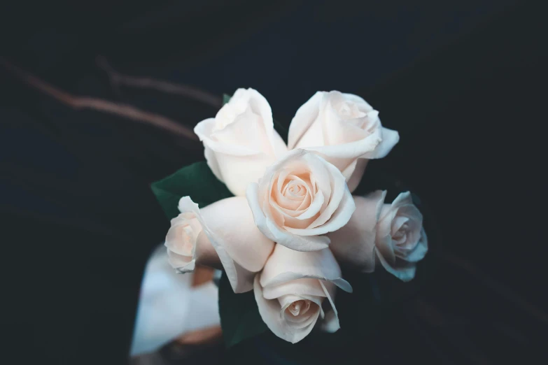 a bouquet of white roses sitting on top of a table, trending on unsplash, with a black dark background, roses in her hair, extremely pale, slightly tanned