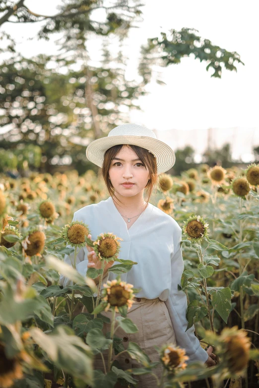 a woman standing in a field of sunflowers, an album cover, inspired by Ruth Jên, wearing a white button up shirt, with hat, japanese, instagram picture