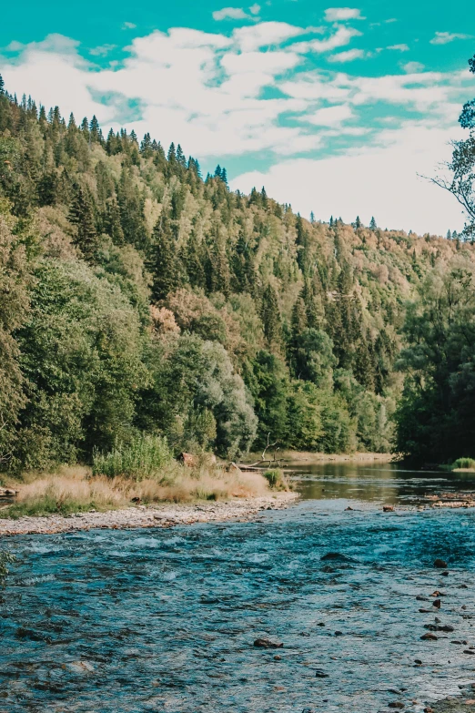 a river running through a forest filled with trees, hurufiyya, bright nordic forest, trees and cliffs, fishing, instagram post