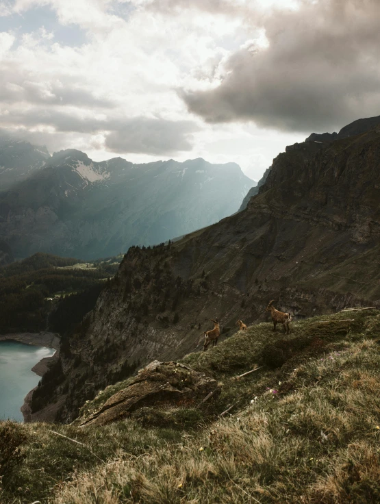 a man standing on top of a mountain next to a lake, a matte painting, pexels contest winner, les nabis, switzerland, the see horse valley, high light on the left, high angle shot