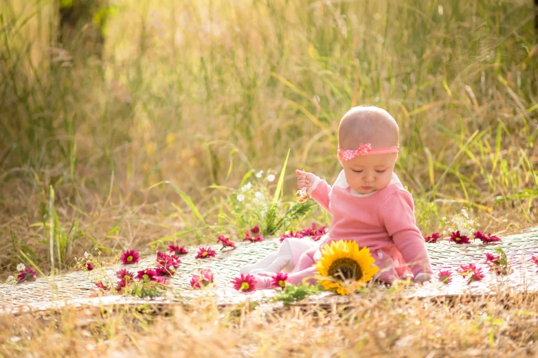 a baby girl sitting on a blanket in a field of flowers, pixabay contest winner, pink and yellow, afternoon sunlight, avatar image, picnic