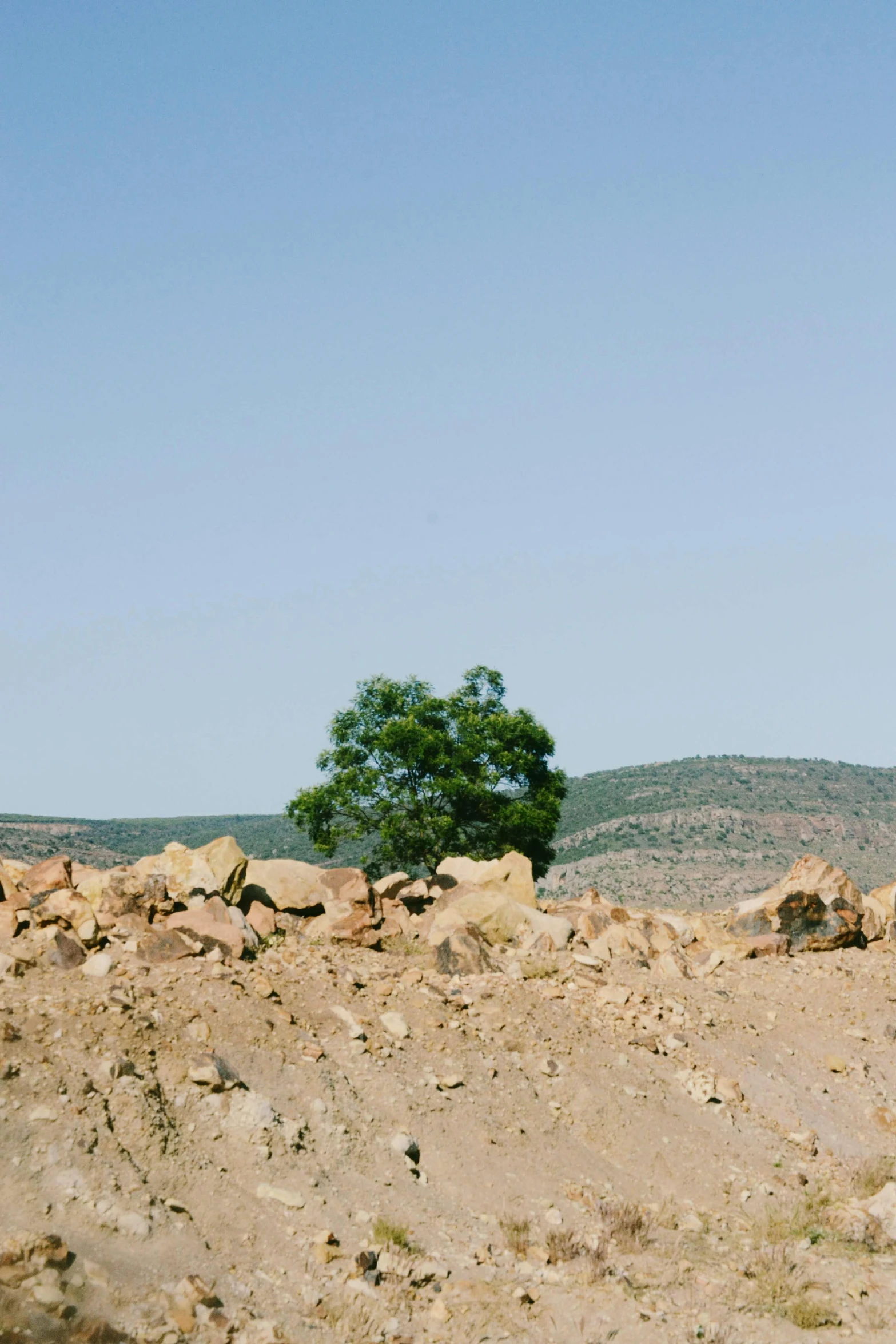 a man riding a motorcycle down a dirt road, inspired by Scarlett Hooft Graafland, land art, crumbled wall in jerusalem, seen from a distance, single tree, standing atop a pile of rubble