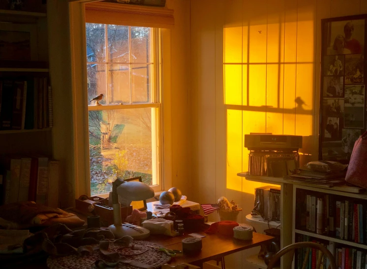 a living room filled with furniture and a window, a picture, by Pamela Ascherson, early morning sunrise, inside a cluttered kitchen, birds in the sunlight, photograph taken in 2 0 2 0