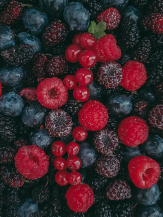 a pile of raspberries, blueberries and blackberries, pexels, renaissance, avatar image, high quality product image”, alessio albi, magenta and crimson and cyan