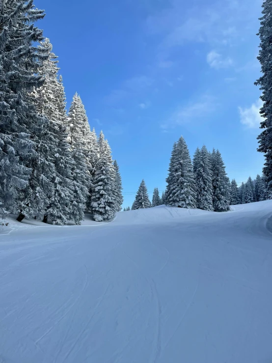 a person riding skis down a snow covered slope, pine trees in the background, profile image, multiple stories, panoramic view