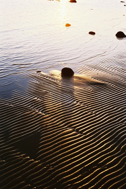 a large body of water sitting on top of a sandy beach, inspired by Edward Weston, unsplash, land art, sunset light, ripples, large stones, striations