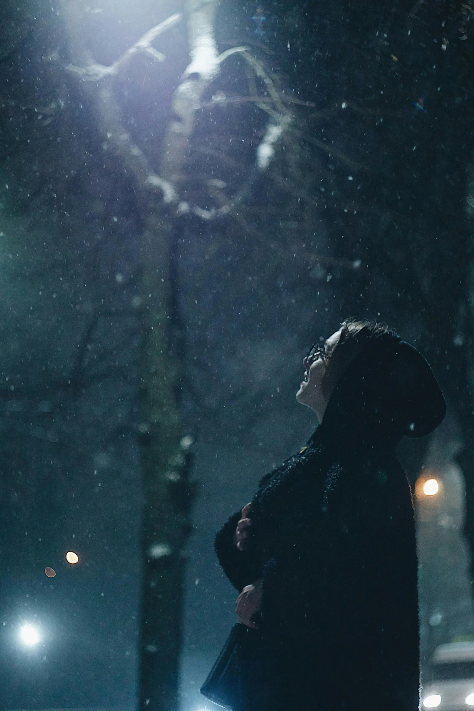 a person standing under a street light in the snow, pexels contest winner, looking off to the side, raining outside, woman in a dark forest, music video