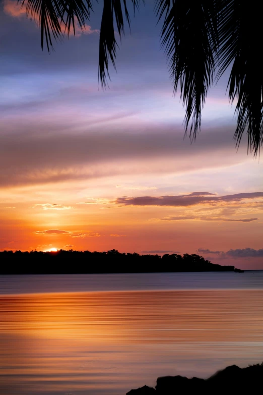 a sunset over a body of water with a palm tree in the foreground, slide show, indonesia, cambodia, clean image