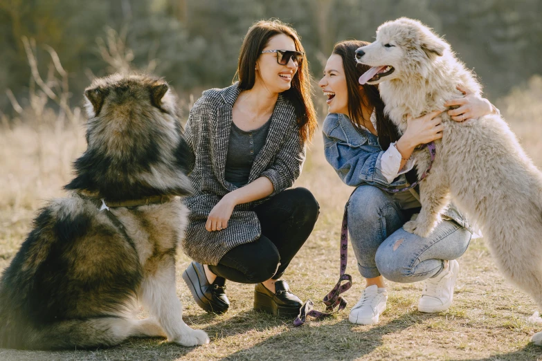 two women and two dogs in a field, a picture, shutterstock, sydney park, husky, [ cinematic, at a park