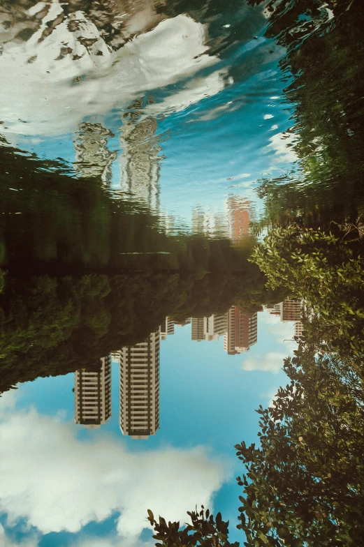 a body of water with buildings in the background, an album cover, unsplash, surrealism, skyscraper forest community, low angle 8k hd nature photo, wet reflections in square eyes, sydney park