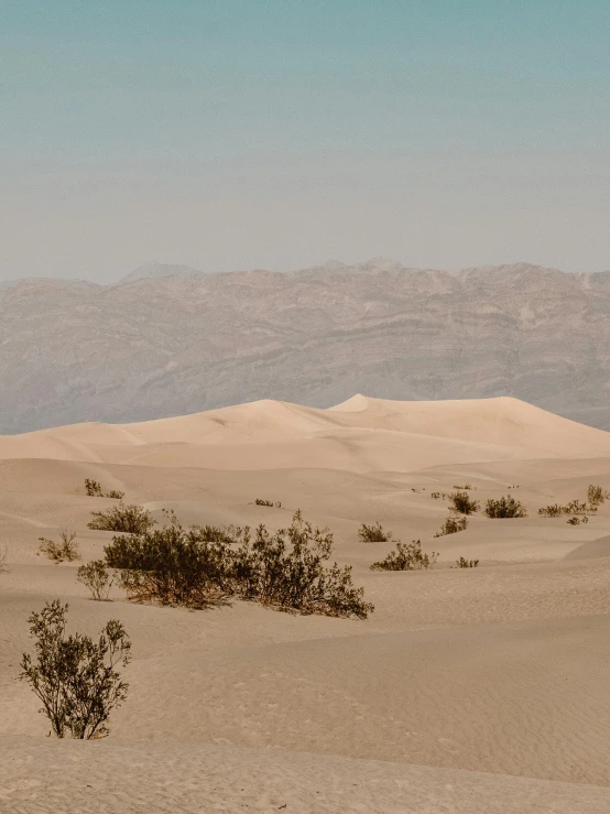 a person riding a horse in the desert, from afar, unsplash 4k, palm springs, victorian arcs of sand