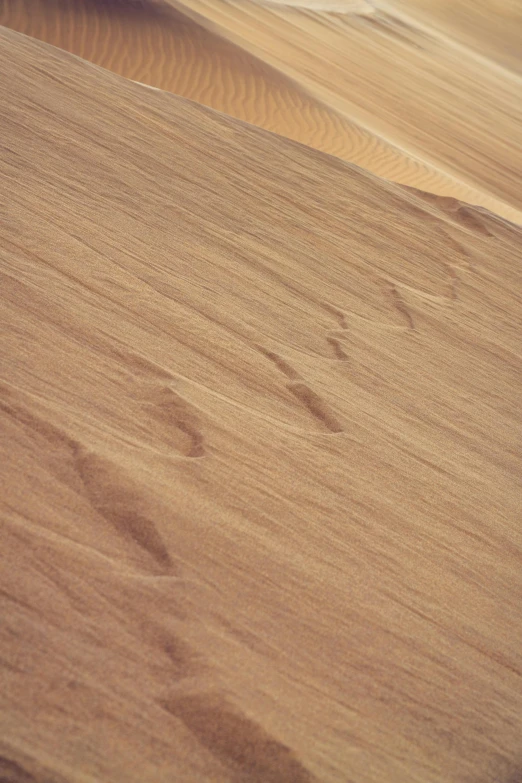 a person riding a horse in the desert, by Alasdair Grant Taylor, land art, skin grain detail, wood surface, footprints, 8 k detail