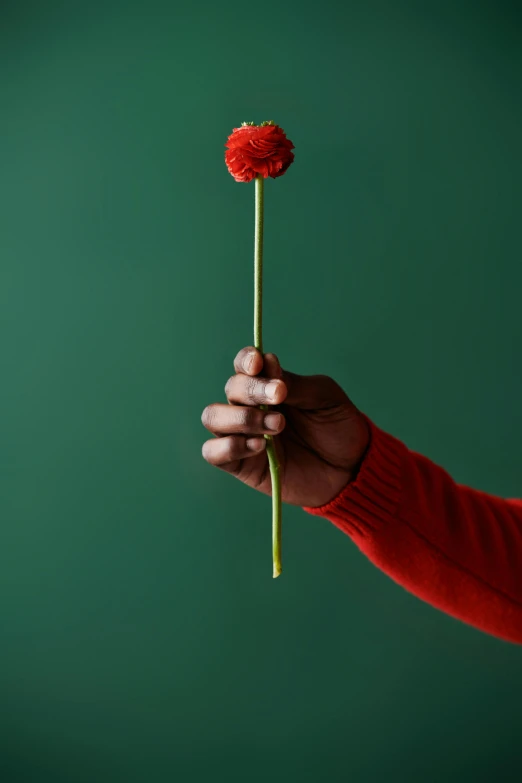 a person holding a flower in their hand, scarlet emerald, single long stick, photographed for reuters, playful vibe