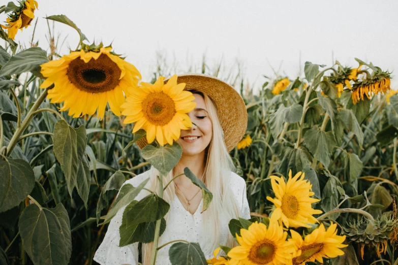 a woman standing in a field of sunflowers, pexels contest winner, smiling :: attractive, blond, background image, gardening