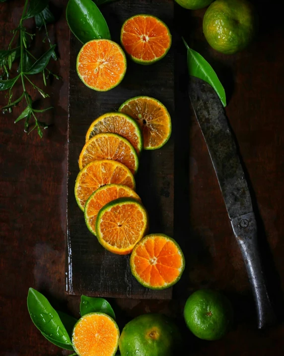 a cutting board topped with sliced oranges and limes, by Basuki Abdullah, vibrant dark mood, thumbnail, profile picture