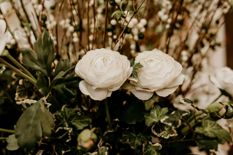 a vase filled with white flowers and greenery, unsplash, rose-brambles, detail shot, low details, close up front view