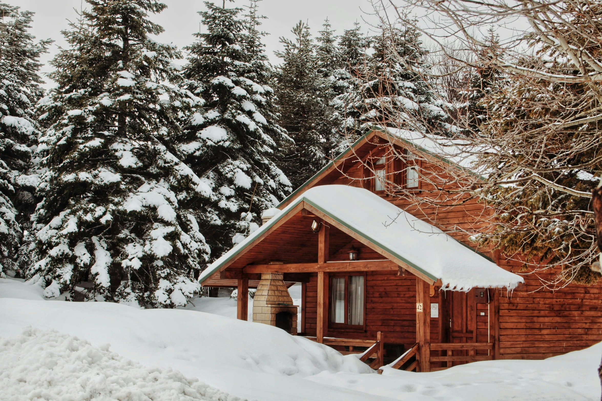 a cabin in the snow with trees in the background, a photo, background image, fan favorite, profile image, glamping