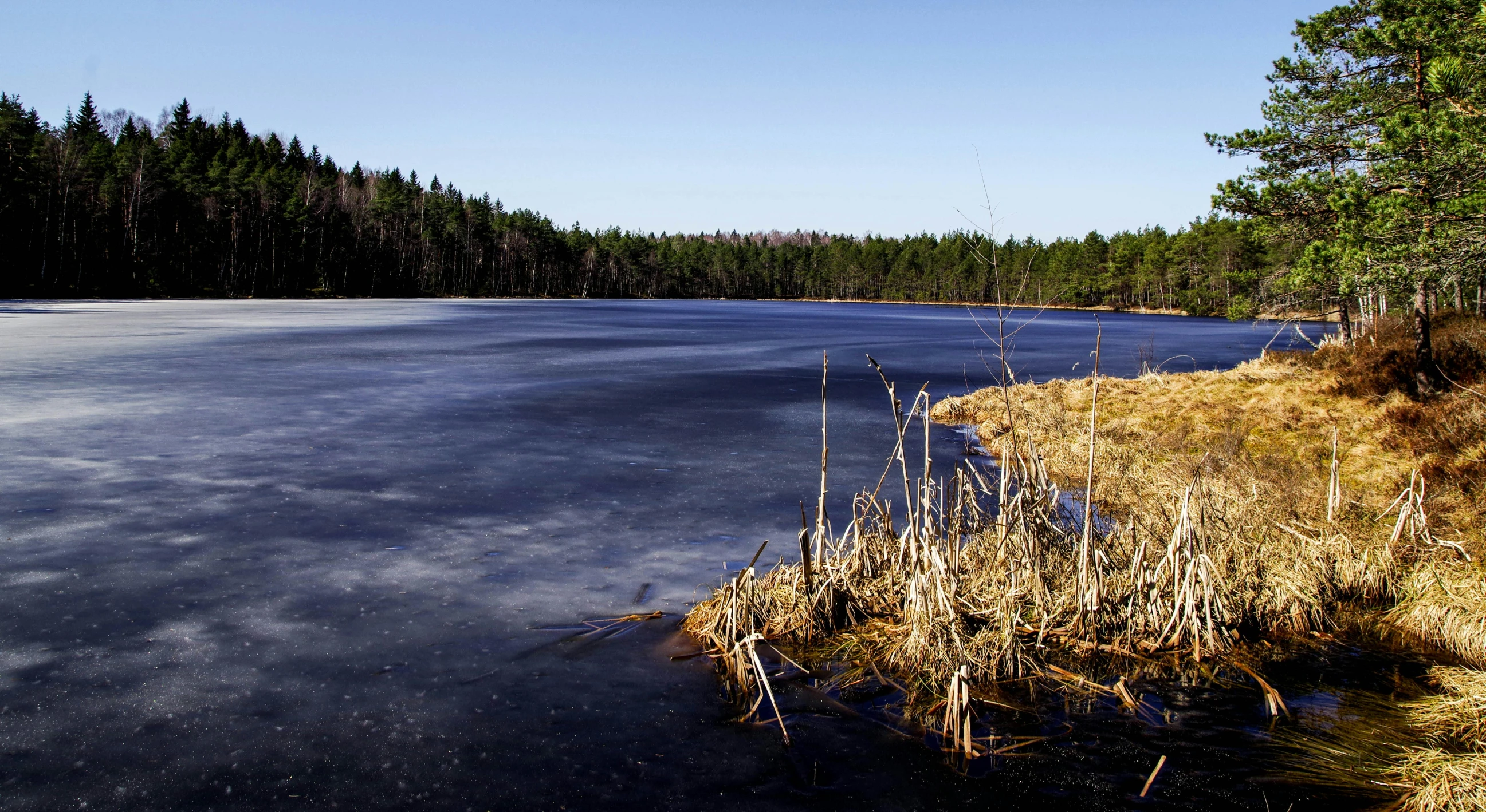 a frozen lake in the middle of a forest, inspired by Eero Järnefelt, unsplash, hurufiyya, brown water, blue, slide show, ready to eat