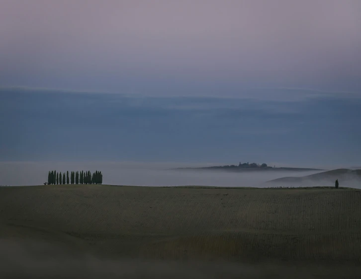 a group of people standing on top of a field, by Peter Churcher, pexels contest winner, renaissance, cypress trees, predawn, grey, panorama distant view