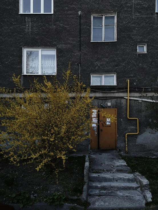 a yellow fire hydrant sitting in front of a building, an album cover, by Attila Meszlenyi, unsplash contest winner, brutalism, typical russian atmosphere, spring evening, darkslategray wall, doorway