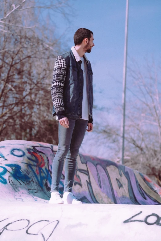 a man standing on top of a skateboard ramp, an album cover, inspired by david rubín, pexels contest winner, graffiti, wearing a jeans jackets, white and grey, wearing studded leather, diego fernandez