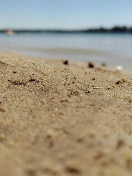 a small bird sitting on top of a sandy beach, looming over ant pov, on a lake, brown skin like soil, soft-sanded coastlines