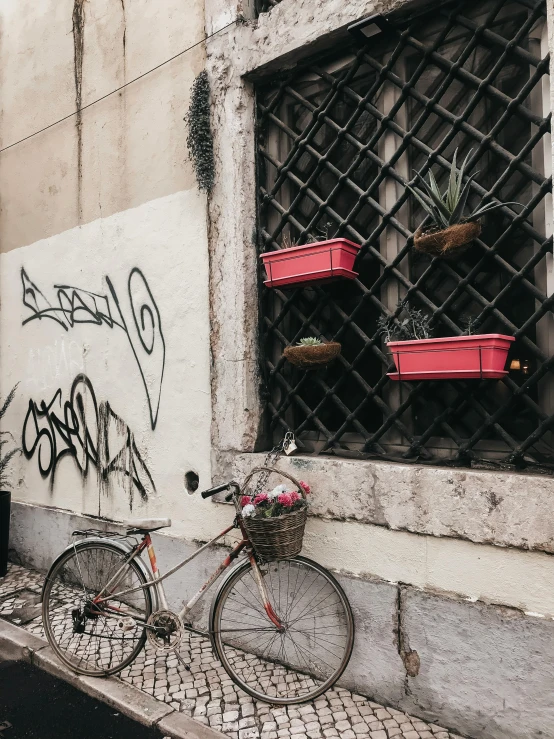 a bicycle parked on the side of a building, pexels contest winner, graffiti, payne's grey and venetian red, potted plants, milan jozing, profile image