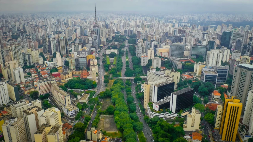 a large city filled with lots of tall buildings, by Ceferí Olivé, pexels contest winner, hyperrealism, oscar niemeyer, parks and monuments, hosada, 2000s photo