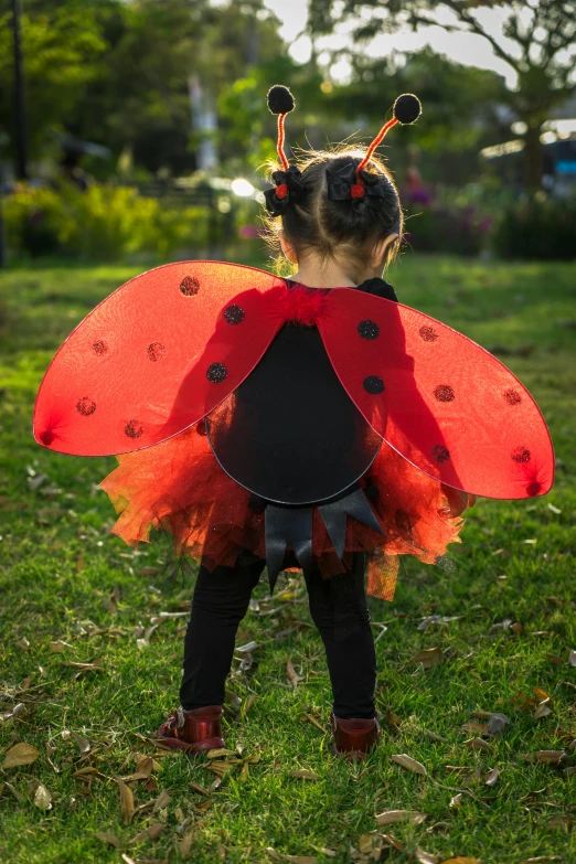 a little girl dressed in a lady bug costume, by Samuel Scott, pexels, happening, gossamer wings, slide show, portrait image, back