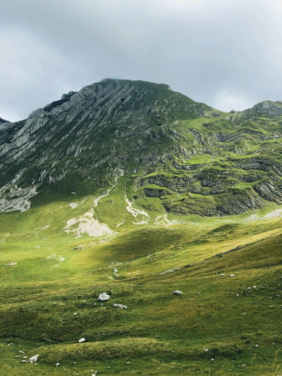 a herd of sheep standing on top of a lush green hillside, by Emma Andijewska, pexels contest winner, renaissance, alps, panoramic view, photo on iphone, limestone