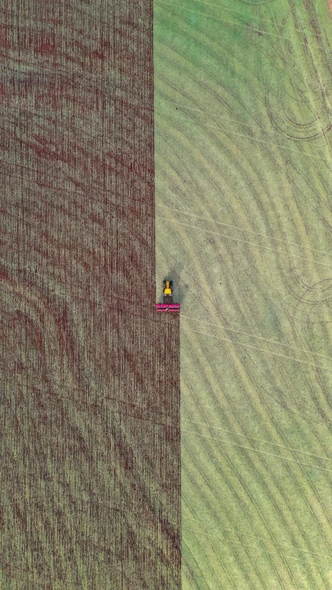 a couple of people that are in the middle of a field, by Attila Meszlenyi, pexels contest winner, color field, satellite imagery, screenshot from the game, mowing of the hay, single figure