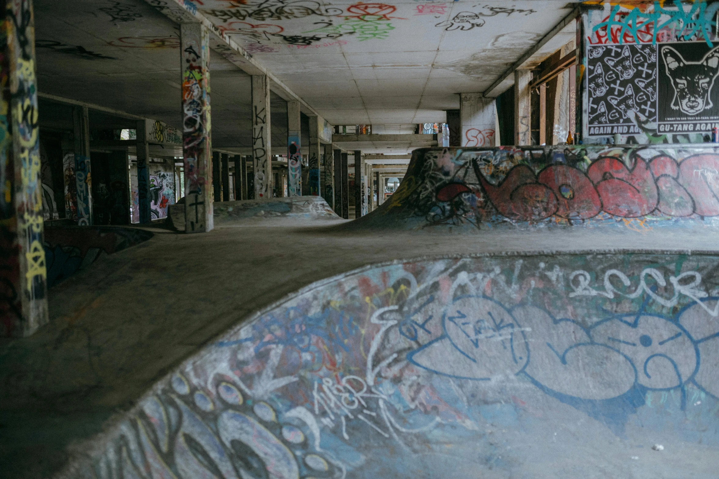 a man riding a skateboard up the side of a ramp, inspired by Elsa Bleda, unsplash contest winner, graffiti, inside a crypt, ruined, bowl, heath clifford