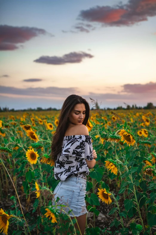 a woman standing in a field of sunflowers, a picture, by Niko Henrichon, brunette, 2019 trending photo, 2 4 year old female model, single