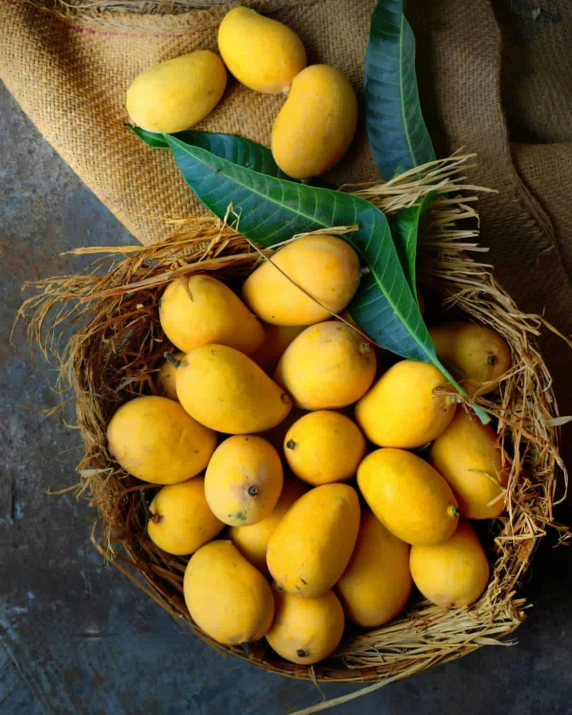 a basket full of mangos sitting on top of a table, yellow, slate, vibrantly lush, thumbnail