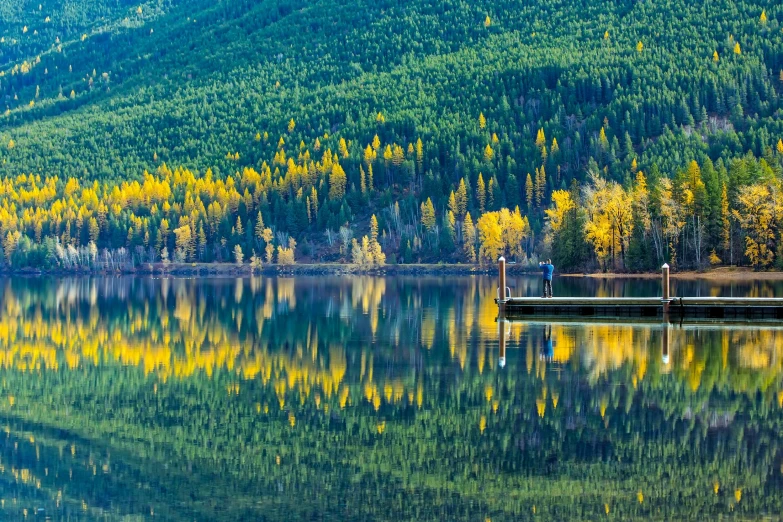 a boat sitting on top of a lake next to a forest, by Jim Nelson, pexels contest winner, yellow and green scheme, montana, trees reflecting on the lake, black fir