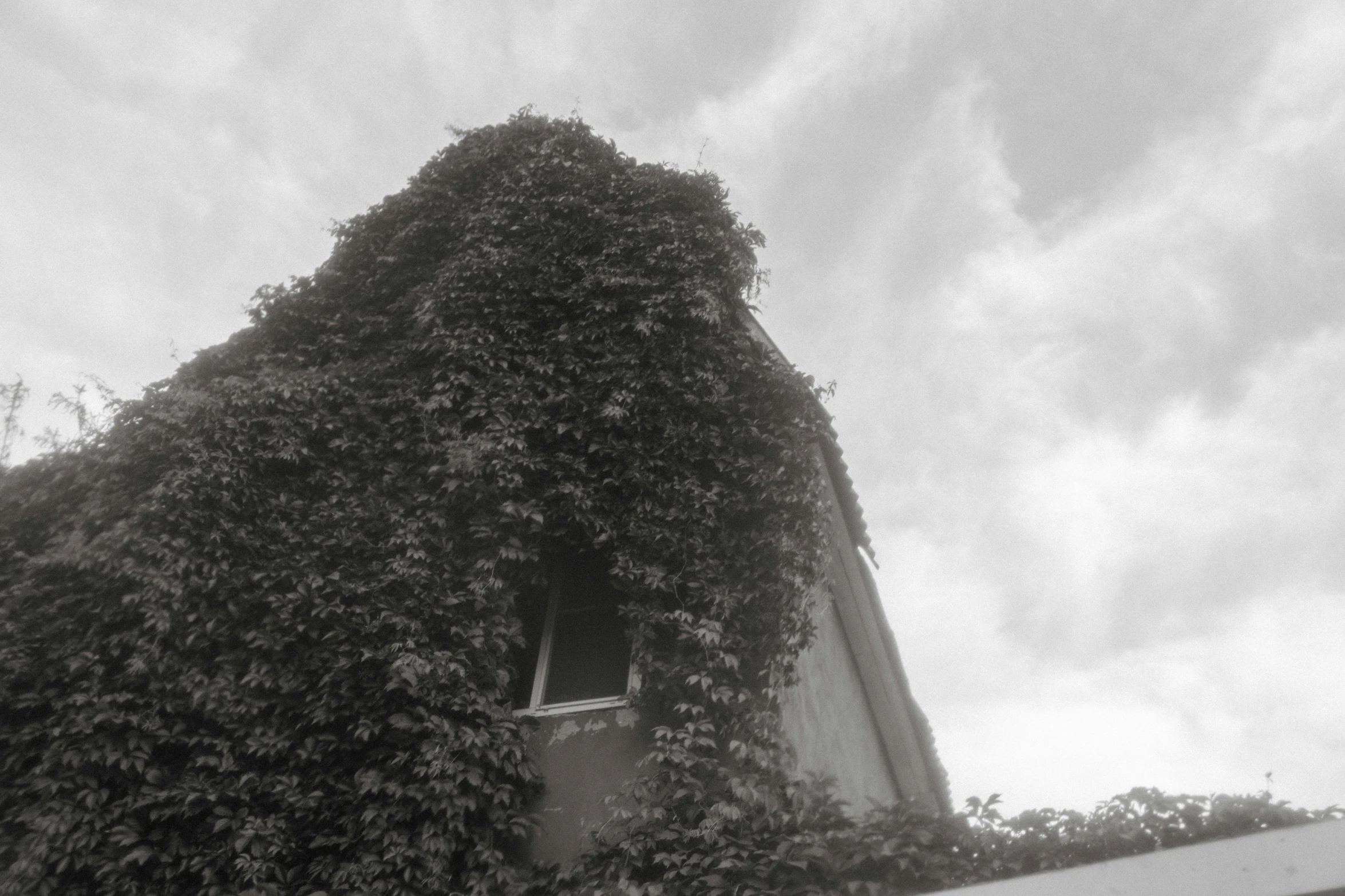 a black and white photo of a building covered in vines, looming over you, sad sky, bauhause, sideview