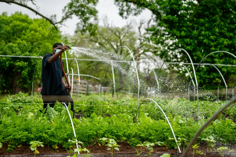 a man waters his vegetable garden with a sprinkler, by Dan Frazier, 💣 💥💣 💥, pitchfork, schools, wesley kimler