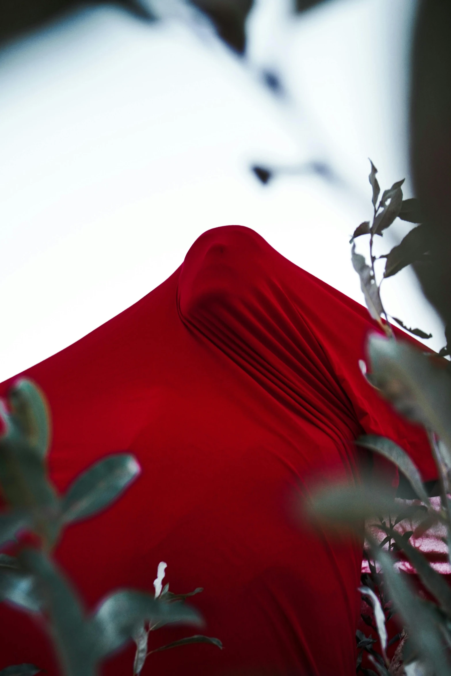 a red umbrella sitting on top of a lush green tree, an album cover, by Alexis Grimou, unsplash, surrealism, zentai suit, detail shot, draped in flowing fabric, shot from roofline