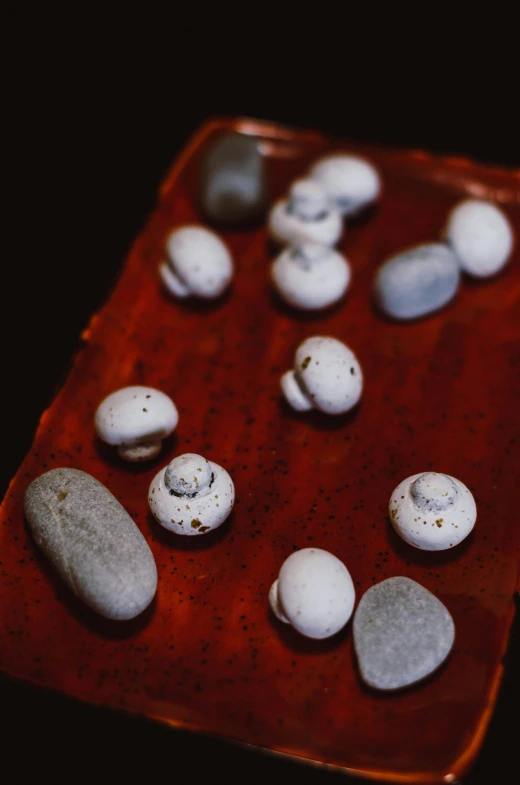 a bunch of rocks sitting on top of a red tray, a portrait, unsplash, showcases full of embryos, pods, three michelin star, haida