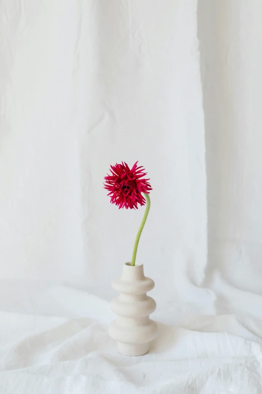 a single red flower in a white vase, unsplash, arabesque, tufted softly, casual pose, tall shot, chrysanthemum eos-1d