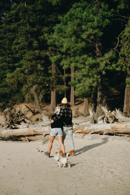 a person walking a dog on a beach, pine trees in the background, lesbians, fallen trees, slide show