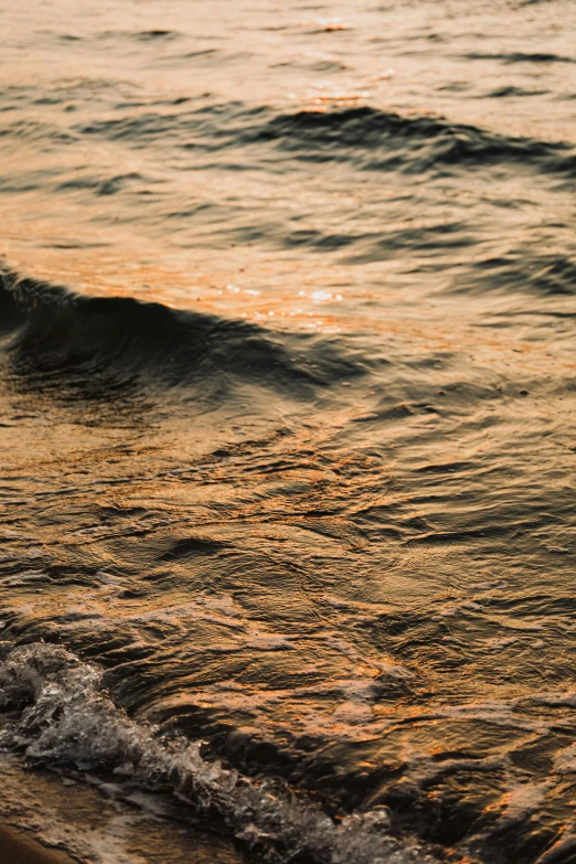 a man riding a surfboard on top of a sandy beach, a picture, inspired by Elsa Bleda, unsplash, renaissance, gold refractions off water, golden hour closeup photo, wavy water, brown and gold