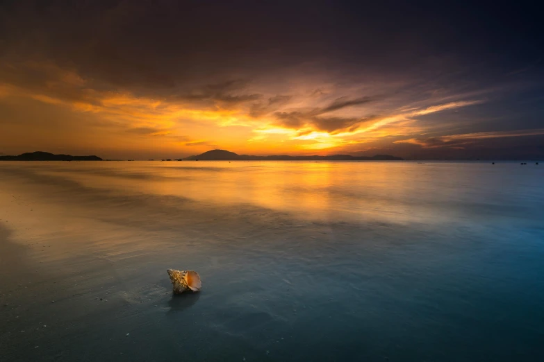 a shell sitting on top of a sandy beach, unsplash contest winner, minimalism, sunset panorama, abel tasman, vivid sky, golden hour 8k