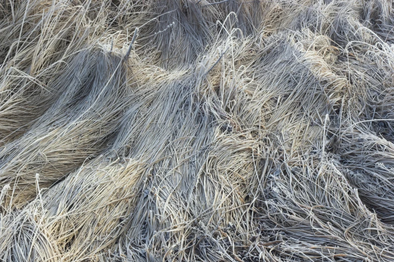 a pile of dry grass sitting on top of a field, an album cover, inspired by Patrick Dougherty, unsplash, pure grey fur, plastic and fabric, mesh roots. closeup, intricate oil sweeps