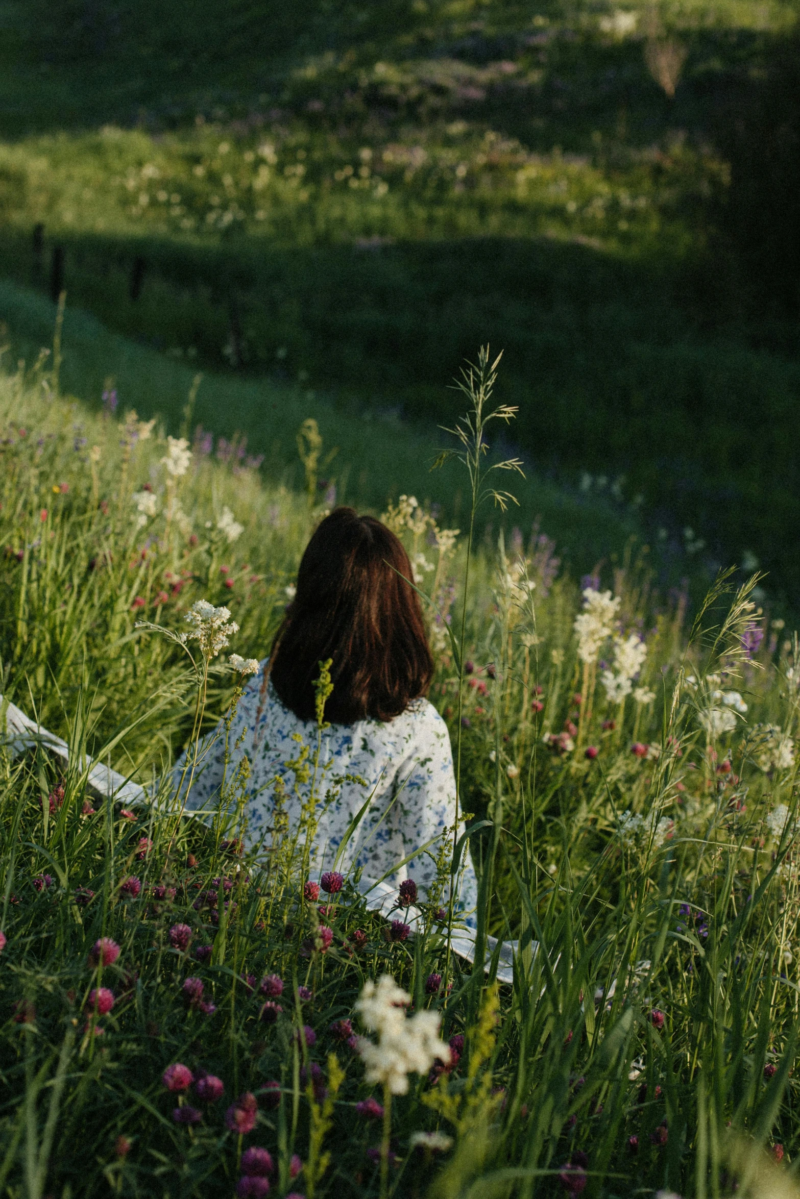 a woman sitting in a field of flowers, cottagecore, morning hour, facing away, grassy hill