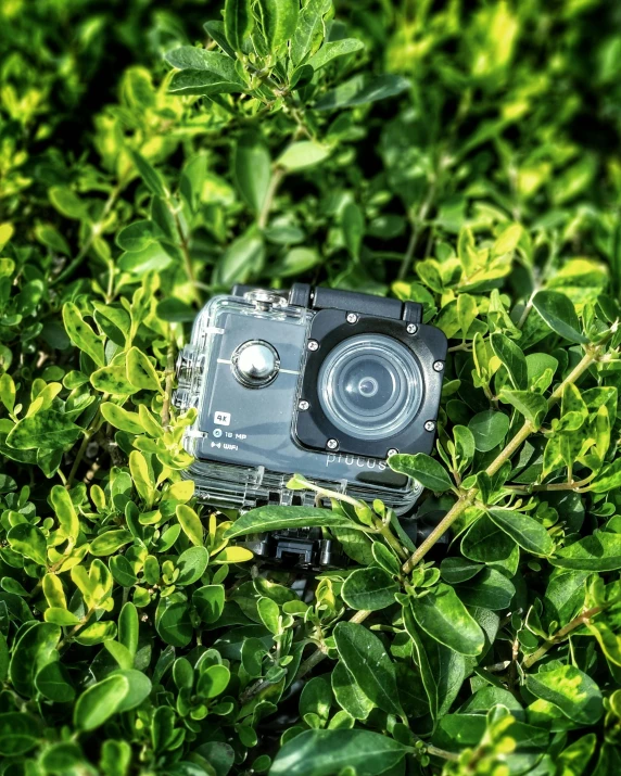 a camera sitting on top of a lush green field, next to a plant, underwater camera, high quality product image”, photography )